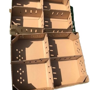 Marco de Cartón Personalizado para Transporte de Aves, Pollos y Palomas, Gran Oferta - Product Image 4