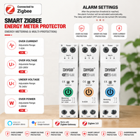 Disjoncteur intelligent TUYA Zigbee3.0 MCB 1P+N 63A sur rail DIN, automatisation de la maison intelligente, interrupteur à commande à distance sans fil CE/CB/FCC