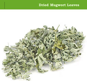 أوراق موجوريت كبيرة مجففة عالية الجودة أرتيميسيا فولجاريس طبيعية أوراق مجففة للبيع - Product Image 6