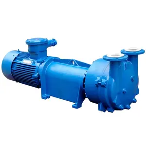 2BV6-110 water ring vacuum pump 2bv liquid vacuum pump replace for Wood drying timber mill use