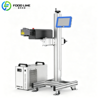 Machine de marquage laser automatique pour bouchons blancs, sacs PE avec date de fabrication, pour imprimeries