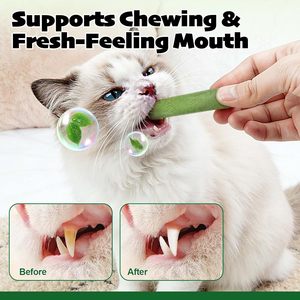 OEM/ODM Palitos de Hierba Comestibles para Gatos y Perros - Snack Masticable para el Cuidado Dental e Inmunológico, Natural, de Rápida Absorción y Seguro - Product Image 5