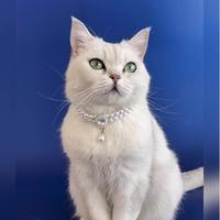 Nouveauté : Collier de luxe pour chat et chien, accessoires pour animaux de compagnie, tendance, multi-tailles, double couche, pendentif en perles et pierres précieuses