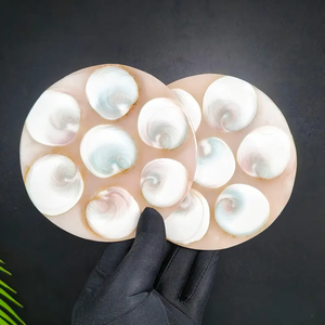 Cristales de Concha Fósil Tallados, Piedras Curativas, Placa Redonda de Concha Fósil en Venta, Novedad en Oferta - Product Image 1