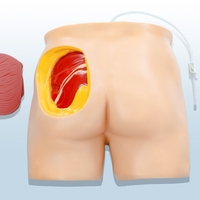 Modelo de Simulación de Inyección en Glúteos con Estructura Anatómica para Entrenamiento de Enfermería, Ciencias Médicas, Herramientas de Enseñanza Médica