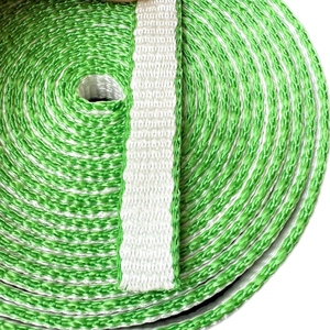 <span class=keywords><strong>Uhmwpe</strong></span> Webbing cao tenacity dyneemas Trọng lượng nhẹ <span class=keywords><strong>uhmwpe</strong></span> Webbing tùy chỉnh dây đeo chống cắt bằng chứng chống mài mòn - Product Image 1