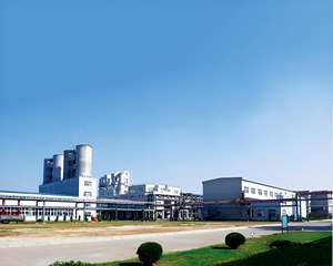 SK-SAO-30 सिलिकॉन रबर खाद्य कागज के लिए सतह उपचार कोटिंग पाउडर उपचार एजेंट के लिए - Product Image 4