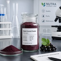 Zuivere Zwarte Bessensap Poeder FVP-28 Rijk aan Vitamine C voor Instant Dranken