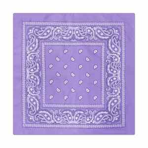 Bandanas Personalizadas con Estampado, Conjuntos a Juego para Perros y Gatos, Ideales para Paseos, Salidas al Parque y Diversión - Product Image 4