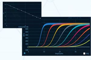 अनुकूलन योग्य ओएम फ्लोरेसेंस मात्रात्मक pccr उपकरण नए डिजाइन वास्तविक समय विश्लेषक प्रणाली नैदानिक विश्लेषणात्मक उपकरण - Product Image 5