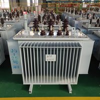 Transformador Sumergido en Aceite de 315 kVA Montado en Poste con Enfriamiento Confiable