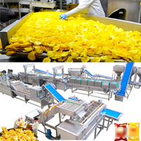 Volledig automatische productielijn voor gefrituurde aardappelchips/Frietproductiemachine/Verwerking van diepvriesfriet
