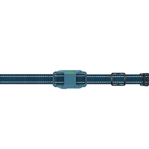 Collar de entrenamiento para perros con control remoto, Collar de choque inteligente para perros con 4 modos de entrenamiento, <span class=keywords><strong>Shockers</strong></span> eléctricos impermeables para perros - Product Image 3