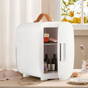 Toptan ev güzellik buzdolabı buzdolabı kozmetik için taşınabilir Mini buzdolabı