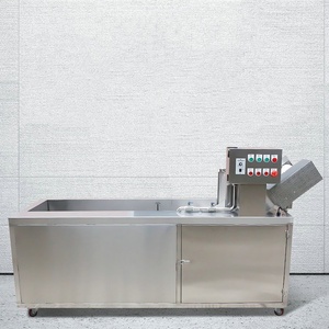 Máquina de lavado de frutas y verduras a gran escala con ciclo de ozono y componente central de motor - Product Image 2