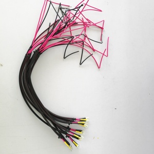 定制PTFE绝缘交流电源接口插座线束两孔/三孔设计JST PH电脑摩托车 - Product Image 1