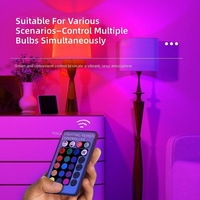 Ampoule LED à télécommande colorée RGB, à intensité variable et à changement de couleur, pour éclairage supplémentaire et ambiance romantique