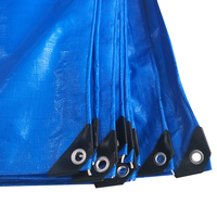 Blauw PE-zeil