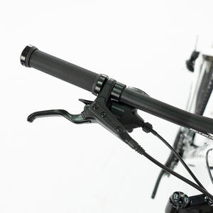 Vélo de montagne à cadre en alliage d'aluminium, SHIMANU 24 vitesses, suspension à ressort, pneus gras de 29 pouces, freins à disque hydrauliques, pédale ordinaire - Product Image 5