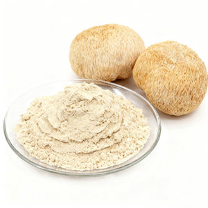 Polvo de Melena de León (<span class=keywords><strong>Hericium</strong></span> <span class=keywords><strong>Erinaceus</strong></span>) Orgánico Natural al por Mayor, Polvo de Melena de León Puro Orgánico a Granel - Product Image 1