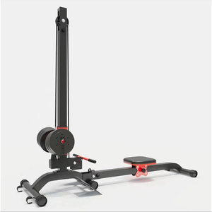 Vogatore per Uso Domestico Multifunzione Pieghevole Professionale Stazione di Allenamento Gantry Power - Product Image 4