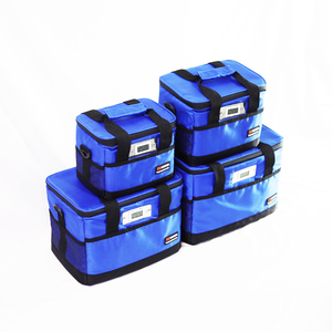 Mini Portable <strong>Insulated</strong> Bag Fits Kids <strong>Lunch</strong> <strong>Boxes</strong> Cold Heat Retention Lightweight Easy to Carry Supplementary Notes - Product Image 1