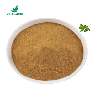 Teh hijau organik ekstrak bubuk teh polifenol 98% Egcg 50% catechin 70% - Product Image 2