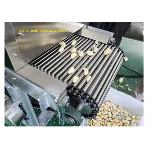 Small Scale 200kgh Electric Chain Type Garlic Skin Removing Peeling Machine With Factory Price