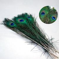 Vente en gros de plumes d'autruche, de faisan et de paon naturelles, teintes, de 25 à 130 cm, pour mariages et décorations indiennes
