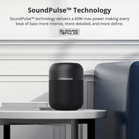 Enceinte Bluetooth Tronsmart Element T6 Max 60W, prix bas, 12 pouces, enceintes Bluetooth de grande taille