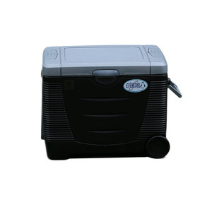 EVERCOOL 45L DC 12 volts bière plateau portable glacière réfrigérateur de voiture avec roues thermoélectrique refroidisseur - Product Image 5