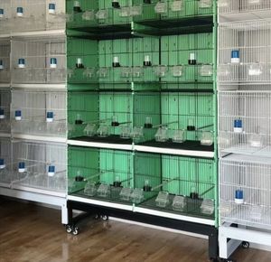 Voliera Grande Migliorata per Uccelli da Volo - 8 Sportelli Frontali, Pannello Posteriore Completo e Divisorio per Allevamento, Gabbia Aviaria per Pappagalli con Paraspruzzi Semi - Product Image 2