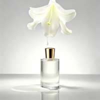 Parfum Unisexe Luxe Clean Musk, Eau de Parfum Longue Durée, Vente en Gros