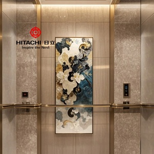 Elevadores Residenciales Modernos Hitachi de 2 a 5 Pisos, Elevadores de Pasajeros para Apartamentos de Dos Pisos con Capacidad de 630 kg, Elevadores Residenciales Pequeños Personalizados - Product Image 6