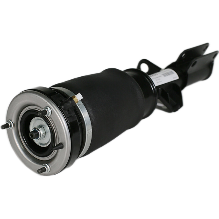 Maniglia Posteriore Con Pulsante Per BMW X5 E53 (2000-2007) – Ricambio Per 51137170676, 51137061247