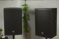 Haut-parleur audio professionnel RM15.1, équipement de scène pour concerts et conférences, système de renforcement audio