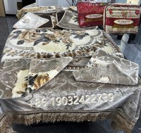 Ensemble de couverture douce Offre Spéciale de luxe 10 pièces ensemble de literie chaud 12 pièces pour l'hiver drap de lit moelleux en stock roi flanelle Raschel