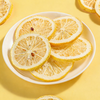 Groothandel Vriesgedroogde Grapefruit Vriesgedroogde Fruitschijfjes in Bulk VC Fruit