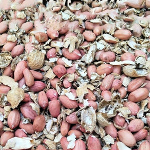 High Hand-Operated Groundnut Shell Husker Manual Peanut <b>Sheller</b> Rice Thresher Sweet Corn Industry Laboratory 150G Capacity 220V - Product Image 4