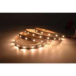 Hot Selling Full Spectrum CRI 99 12V 24V Waterproof Light Strip LED SMD 2835 Flexible LED Strip Lights