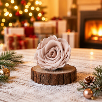 Têtes de roses stabilisées en gros pour bricolage (2-3 cm) – Idéales pour mariages, remises de diplômes, Noël, la fête des Mères, Pâques, décorations murales, couronnes et plantes
