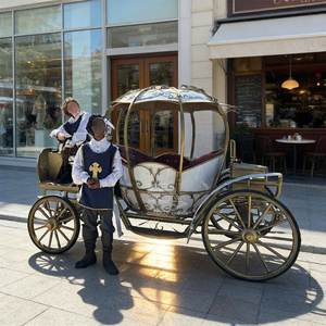 Nuevo lanzamiento para eventos especiales: Limusina turística estilo inglés, carruaje real con caballos - Product Image 5