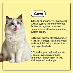 مصنع الجملة لينة مضغ الحيوانات الأليفة المكملات الغذائية 11 في 1 الفيتامينات للحيوانات الأليفة الكلب فيتامين ملحق الصحة - Product Image 2