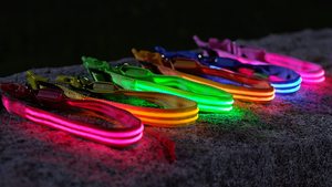 Vente directe d'usine vente chaude LED clignotant collier pour animaux de compagnie collier de <span class=keywords><strong>chien</strong></span> lumineux pour la sécurité marche animal de compagnie et contre l'animal perdu - Product Image 5