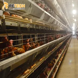 RETECH Poultry Equipment Suppliers Automatic Layer Chicken Egg Laying Hen Cages for sale