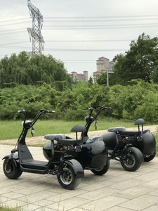 Triciclo Eléctrico de Tres Ruedas con Sidecar, Personalizable con Logotipo, Nuevo, 2 Asientos, Apto para Adultos, Venta al Por Mayor - Product Image 5
