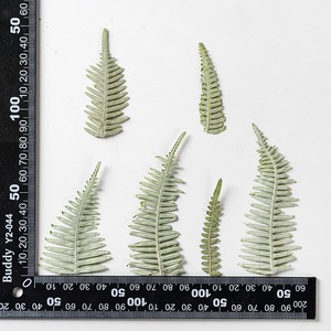 Dicranopteris Dichotoma pressé fleur plante feuille spécimen époxy étui de téléphone portable signet cadre Photo autocollant bricolage à la main - Product Image 6