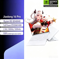 2026 Hotselling Jiaolong 16pro8940 5060/5070/5070ti 16-inch Win11 RGB Backlit M.2 SSD Gaming Laptop