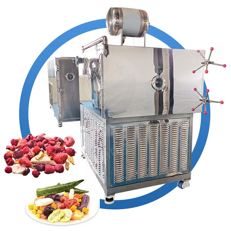 آلة تجفيف اللحوم المجمدة من ORME مُثليج صغير لمعمل تجميد حلوى وفراولة تجارية بالفرن لتجفيف اللحم