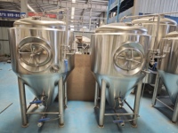 Micro-brasserie : Cuves de brassage 500L, Vases de fermentation de bière, Pompe à moteur, Commande manuelle pour usage domestique, usines de fabrication, hôtels